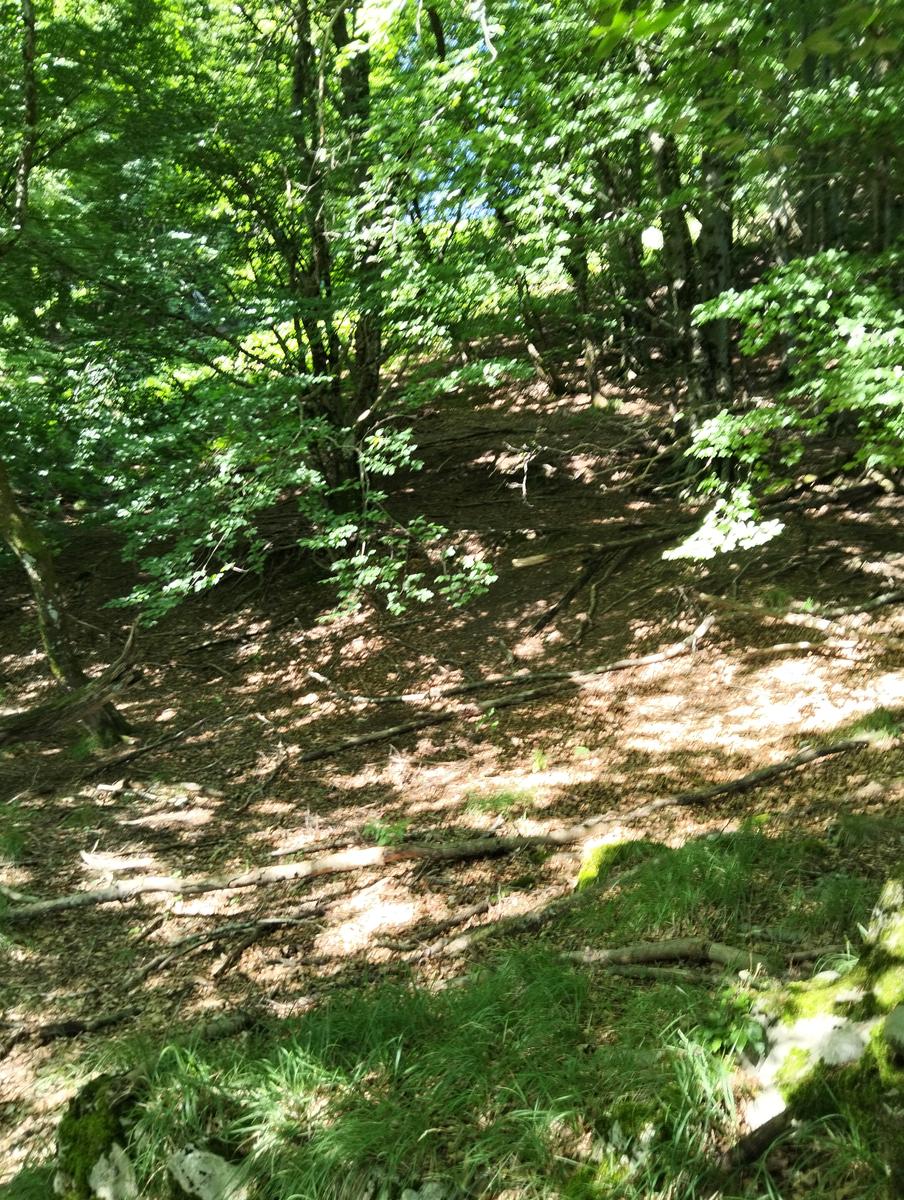 Monte Memoriante, Penna di Lucchio e Monte Lischeta da Lucchio - foto 2