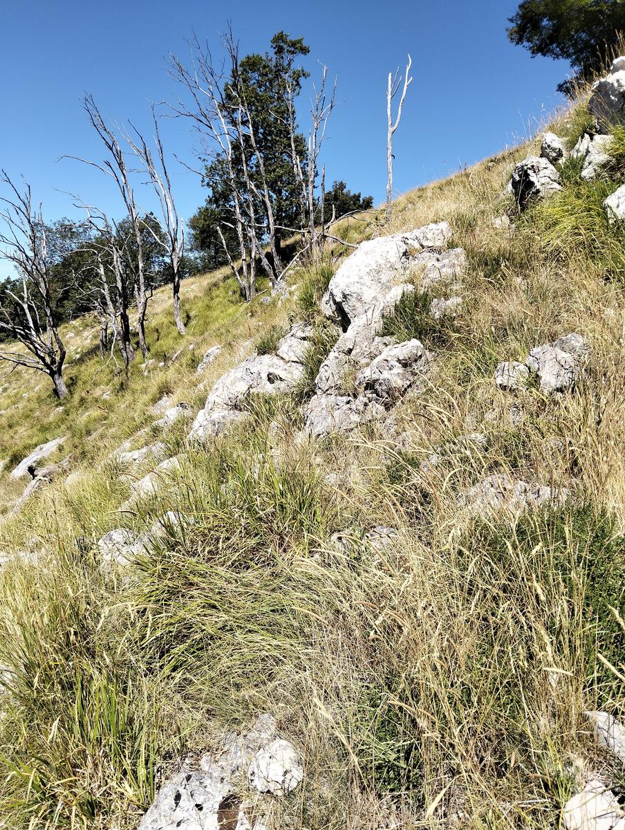 Monte Memoriante, Penna di Lucchio e Monte Lischeta da Lucchio - foto 4
