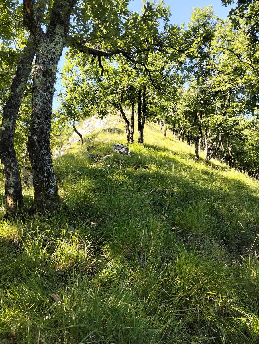 Monte Memoriante, Penna di Lucchio e Monte Lischeta da Lucchio - foto 8