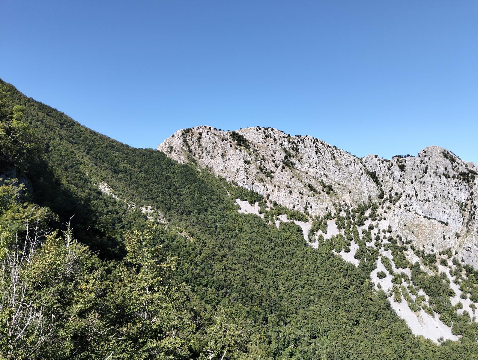 Monte Memoriante, Penna di Lucchio e Monte Lischeta da Lucchio - foto 9