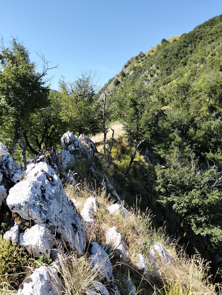 Monte Memoriante, Penna di Lucchio e Monte Lischeta da Lucchio - foto 10