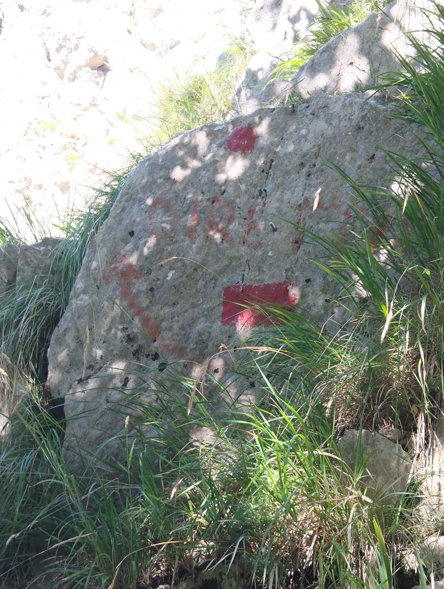 Monte Memoriante, Penna di Lucchio e Monte Lischeta da Lucchio - foto 15