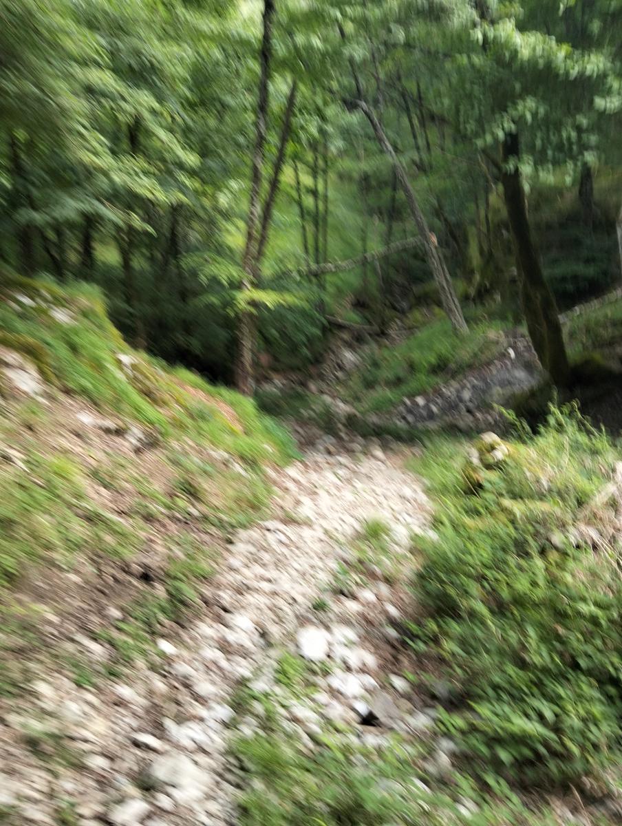 Monte Memoriante, Penna di Lucchio e Monte Lischeta da Lucchio - foto 18