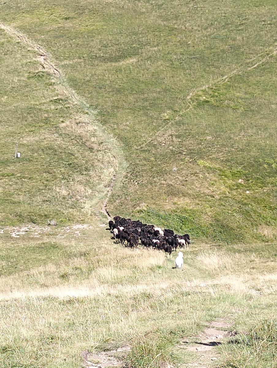Doganaccia – Croce Arcana – Cascate del Dardagna – Monte La Nuda – Corno alle Scale: 2 giorni di trekking ad anello - foto 4