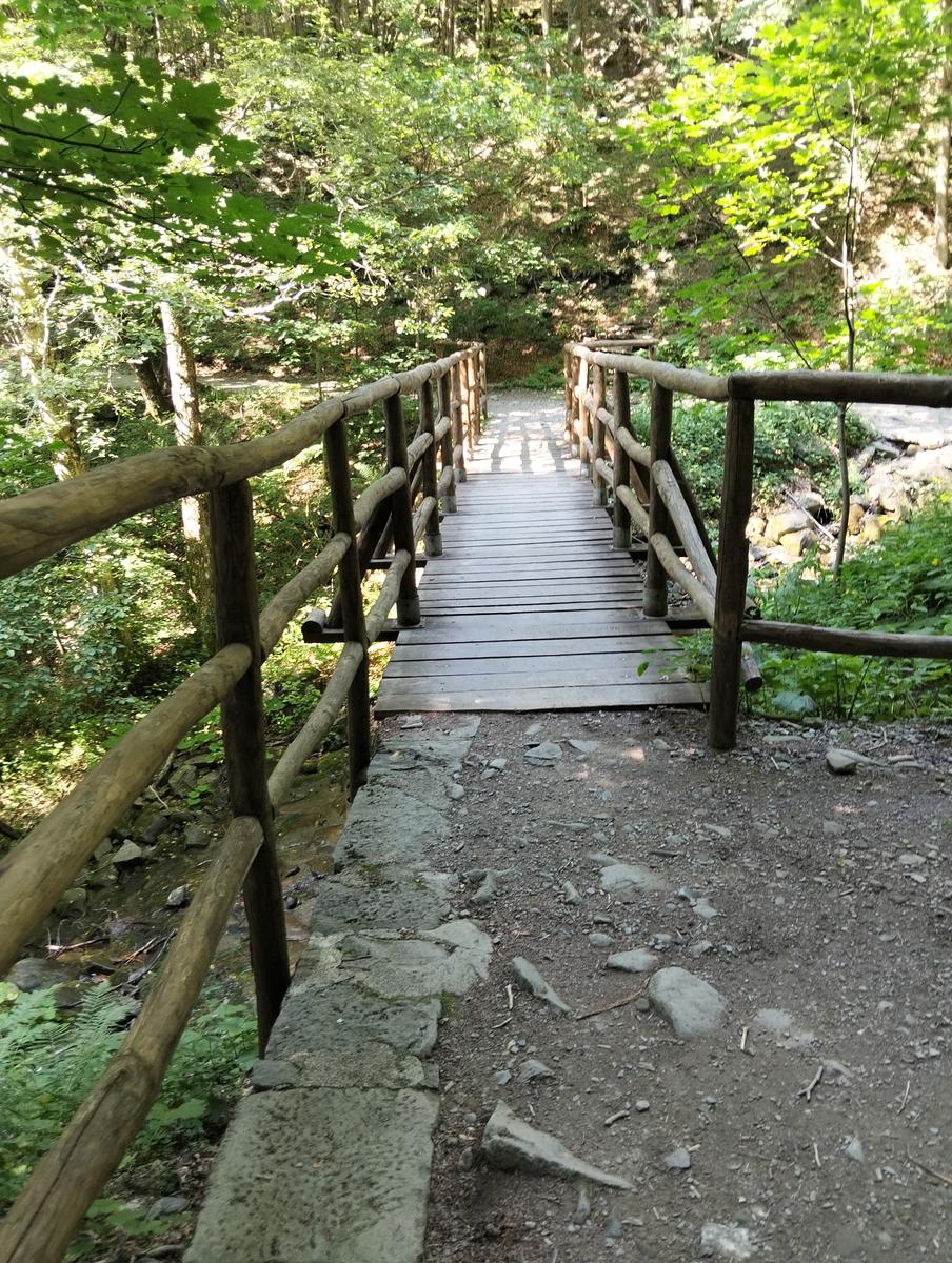 Doganaccia – Croce Arcana – Cascate del Dardagna – Monte La Nuda – Corno alle Scale: 2 giorni di trekking ad anello - foto 8