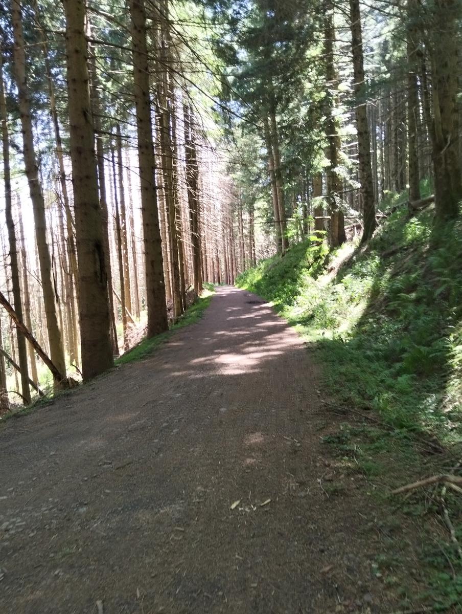 Doganaccia – Croce Arcana – Cascate del Dardagna – Monte La Nuda – Corno alle Scale: 2 giorni di trekking ad anello - foto 18