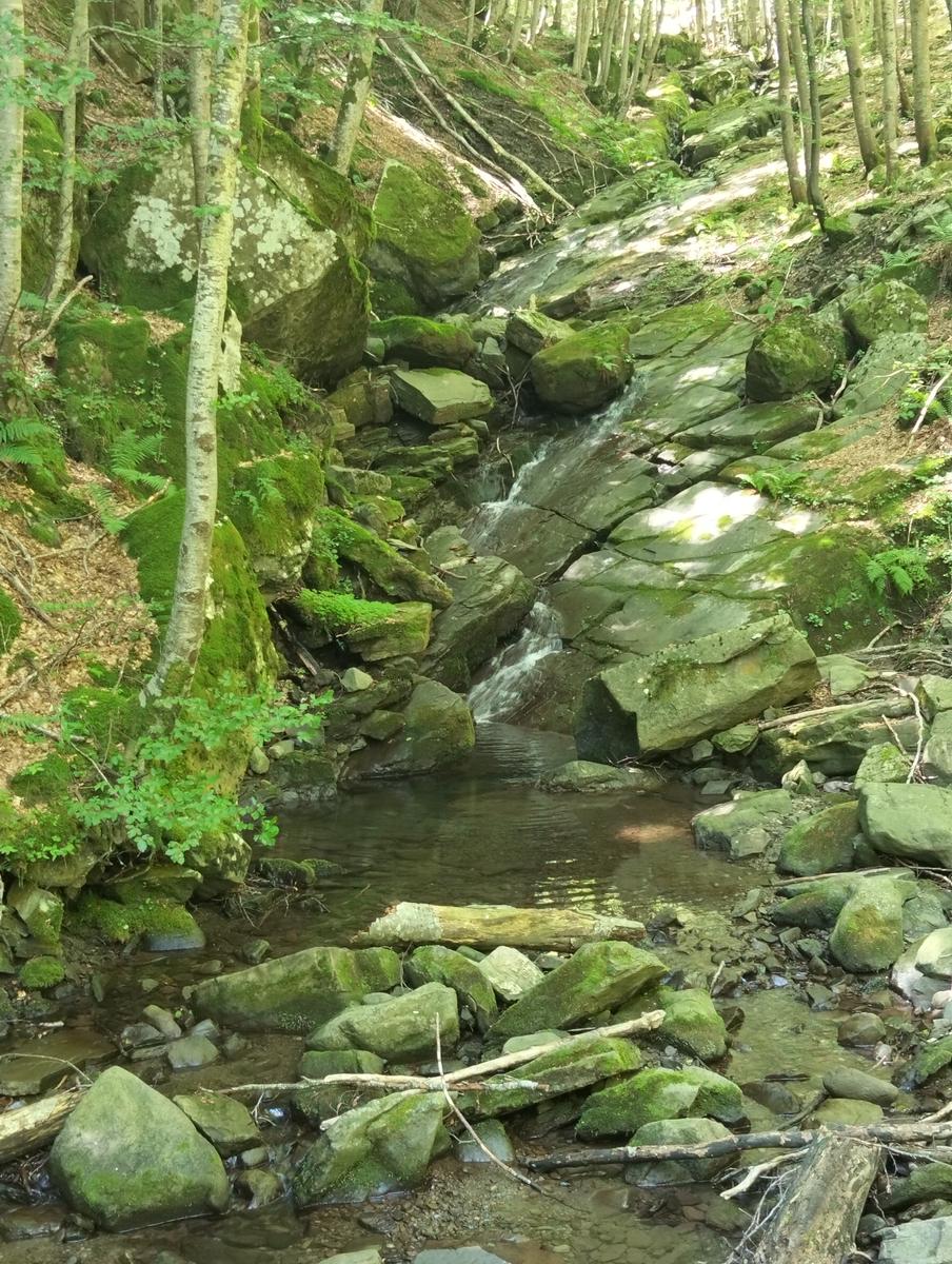 Doganaccia – Croce Arcana – Cascate del Dardagna – Monte La Nuda – Corno alle Scale: 2 giorni di trekking ad anello - foto 19