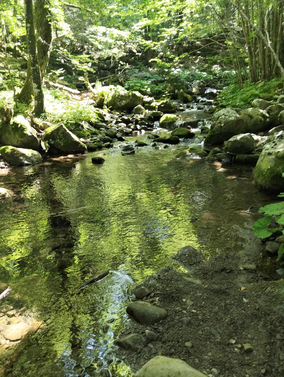 Doganaccia – Croce Arcana – Cascate del Dardagna – Monte La Nuda – Corno alle Scale: 2 giorni di trekking ad anello - foto 20