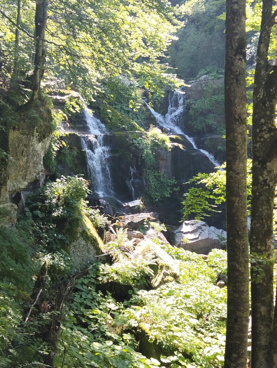 Doganaccia – Croce Arcana – Cascate del Dardagna – Monte La Nuda – Corno alle Scale: 2 giorni di trekking ad anello - foto 33