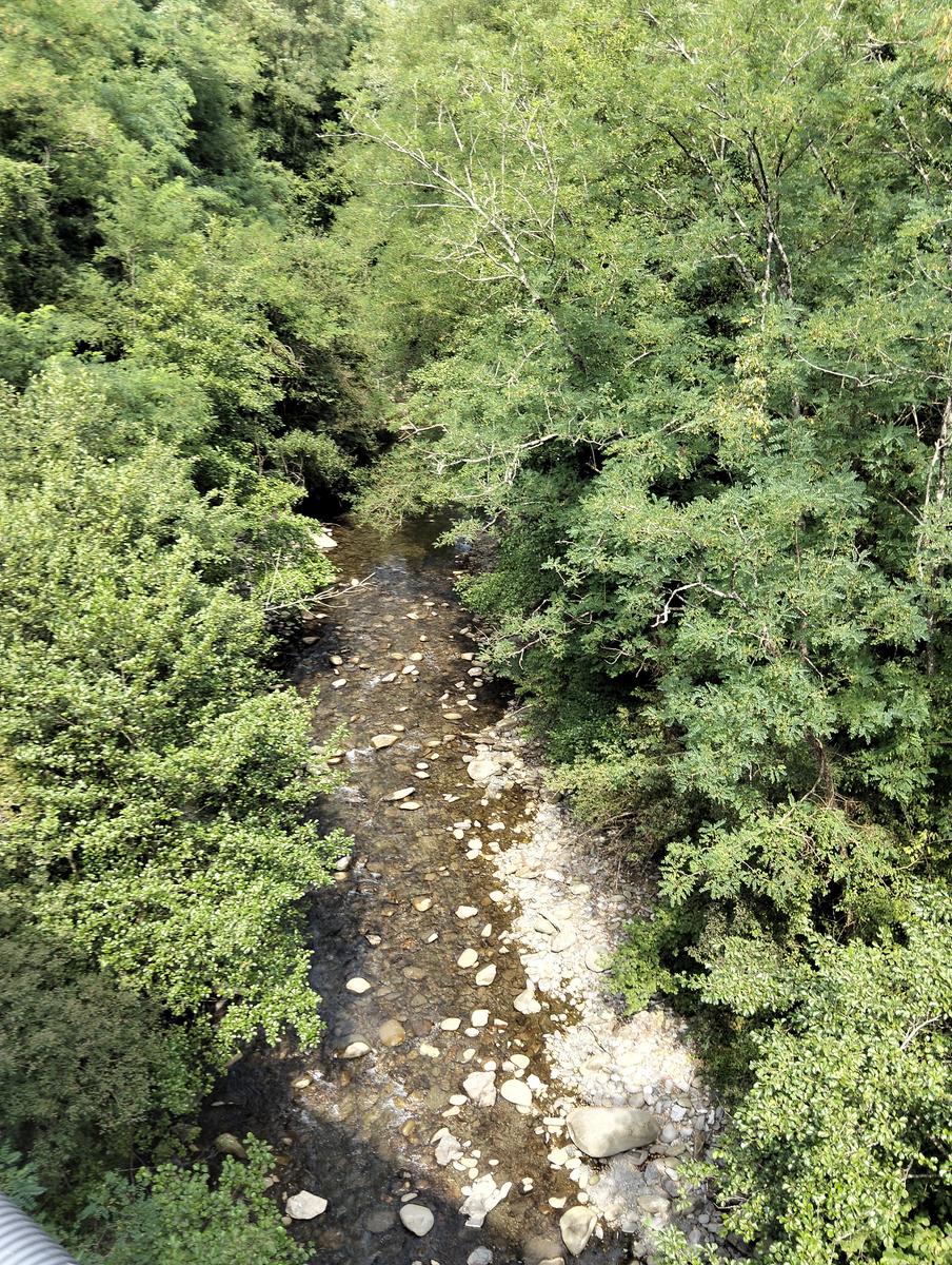 Treschietto - Pisciaron de pungitopo - Bagnone - foto 3
