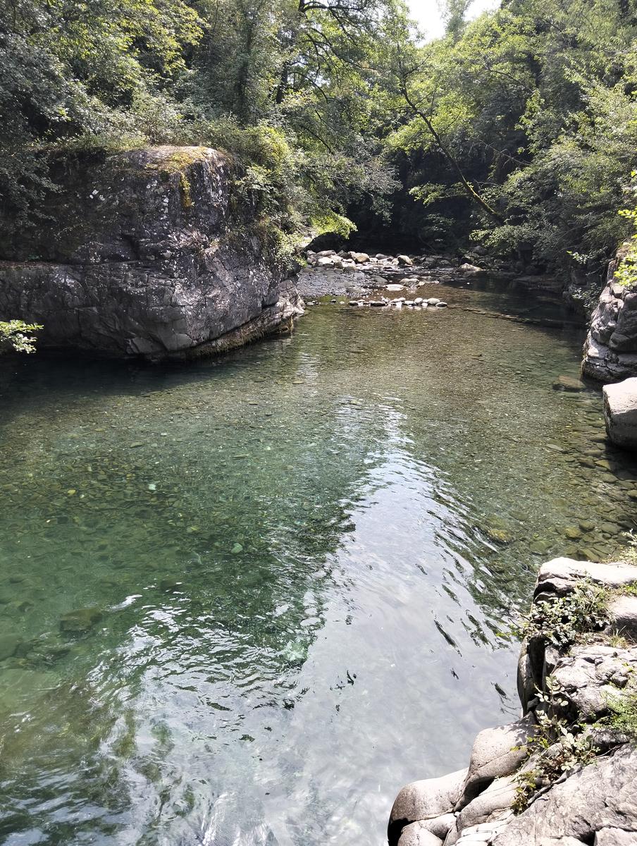 Treschietto - Pisciaron de pungitopo - Bagnone - foto 4