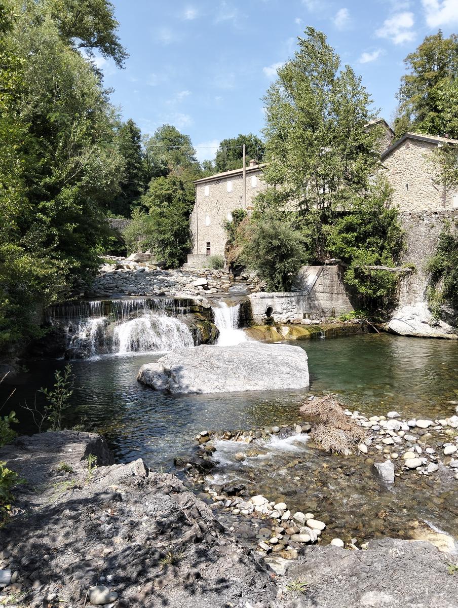 Treschietto - Pisciaron de pungitopo - Bagnone - foto 5