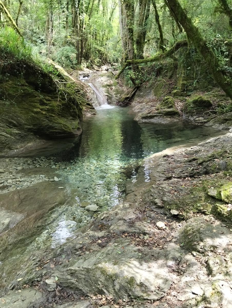 Treschietto - Pisciaron de pungitopo - Bagnone - foto 9