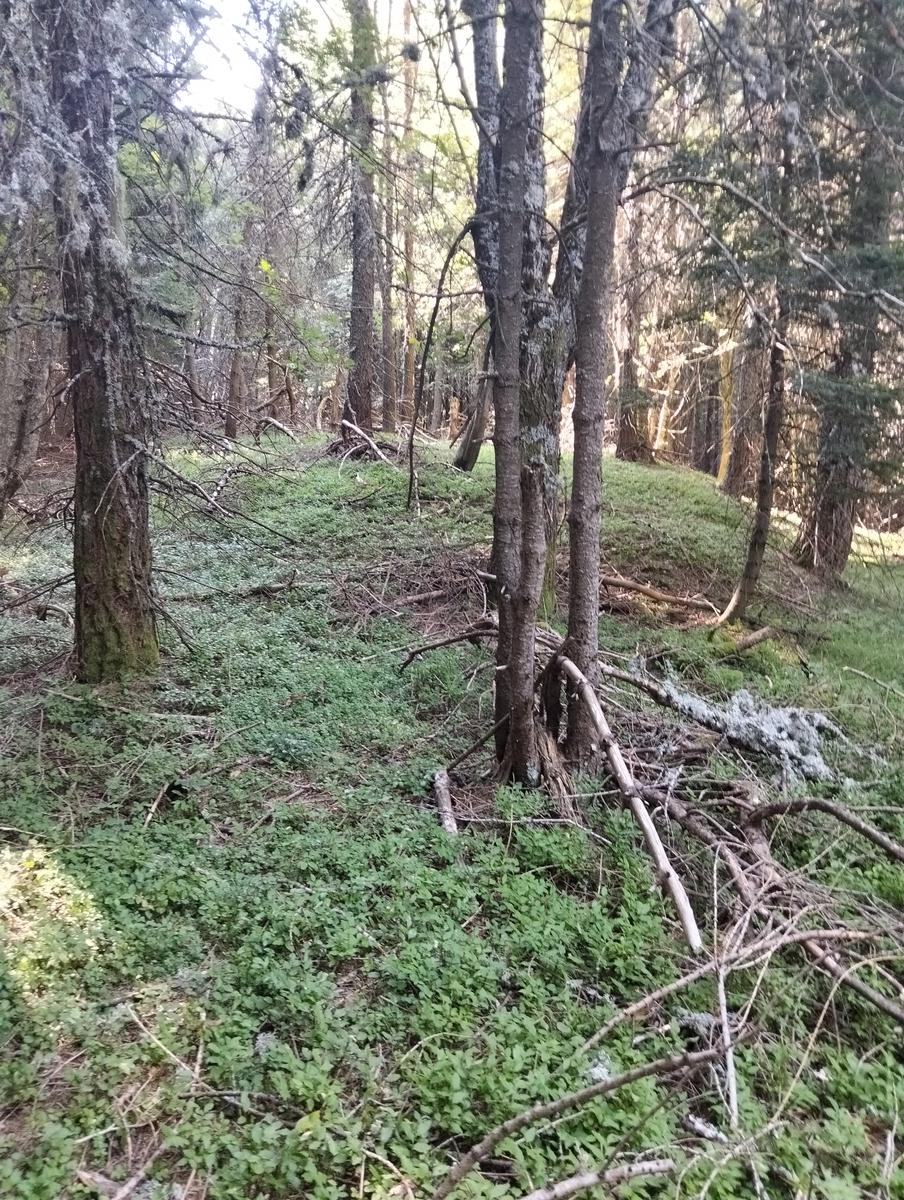 Libro Aperto, Monte Lagoni e Rifugio Casetta di Lapo da Abetone - foto 2
