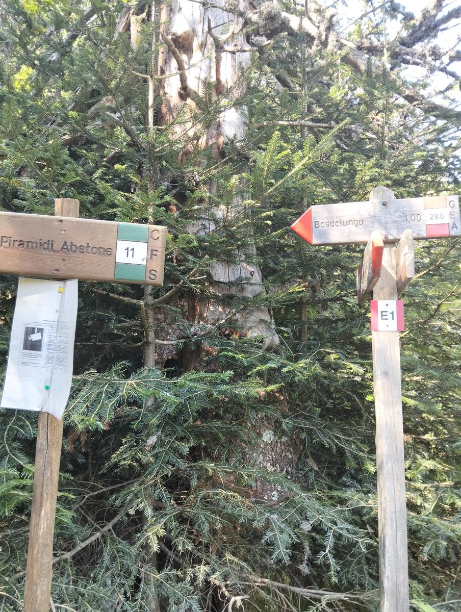 Libro Aperto, Monte Lagoni e Rifugio Casetta di Lapo da Abetone - foto 8