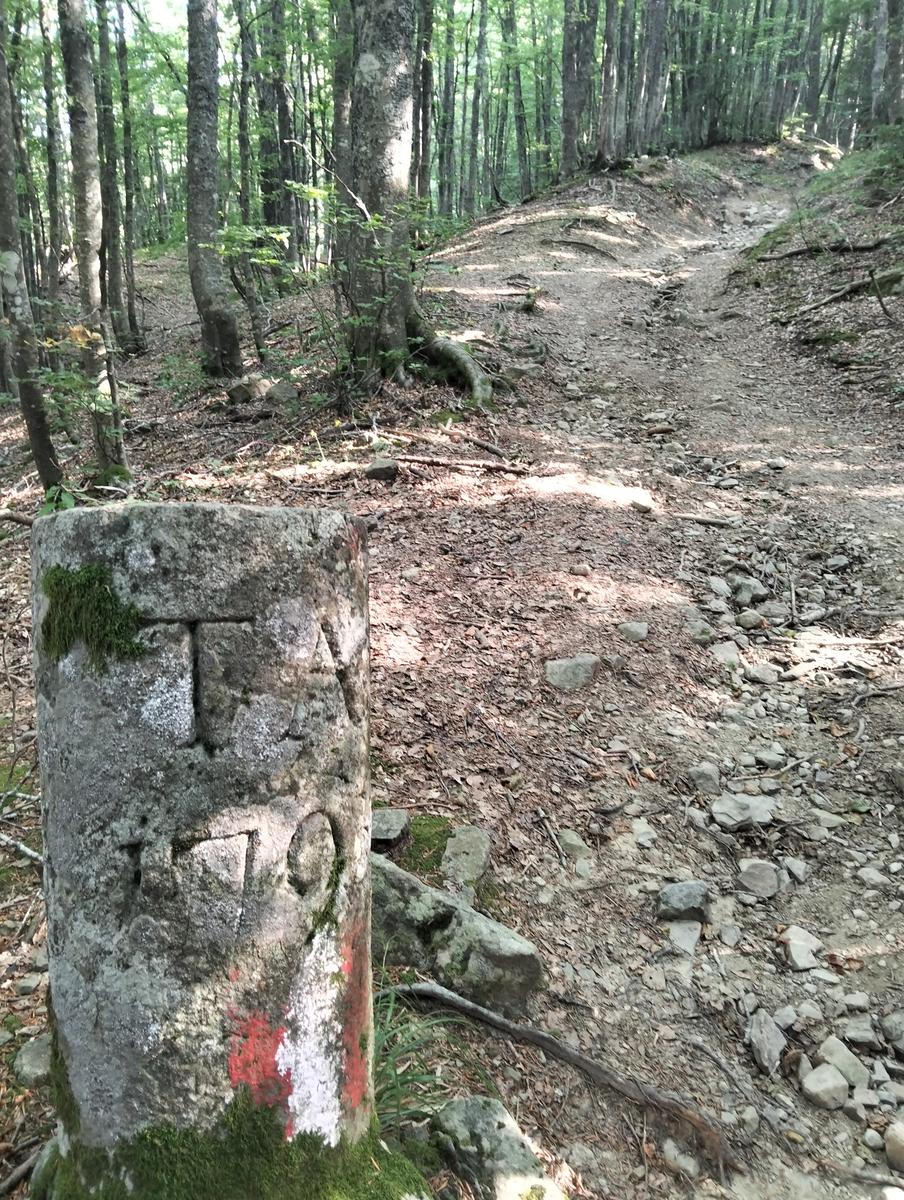 Libro Aperto, Monte Lagoni e Rifugio Casetta di Lapo da Abetone - foto 13
