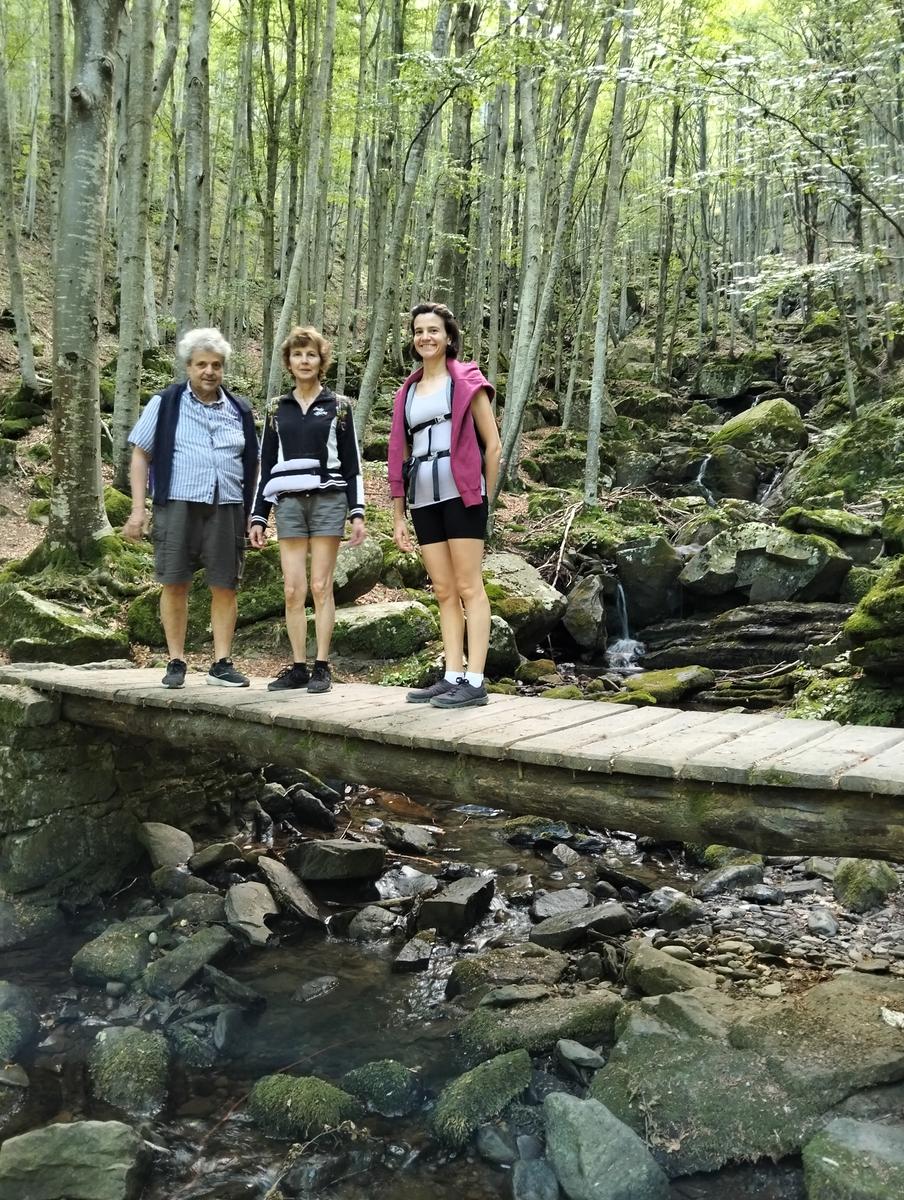 Sentiero Madonna dell’Acero – Cascate del Dardagna – Rifugio Capanna Tassoni - foto 6