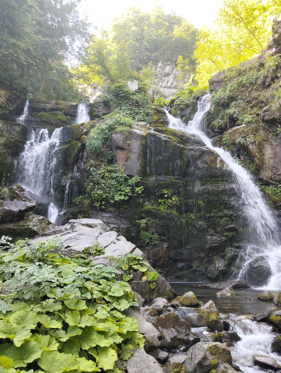 Sentiero Madonna dell’Acero – Cascate del Dardagna – Rifugio Capanna Tassoni - foto 9
