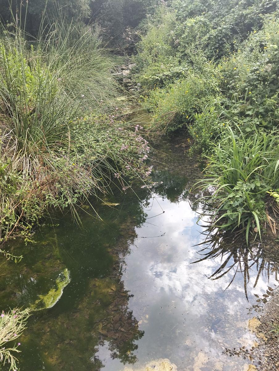 Anello delle Miniere di Campolecciano ed Escafrullina – Monte Carvoli (Livorno) - foto 8