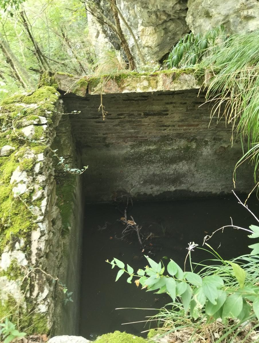 Vetta Monte Alto dalla cresta sud e Grotte bianche da Volegno - foto 5