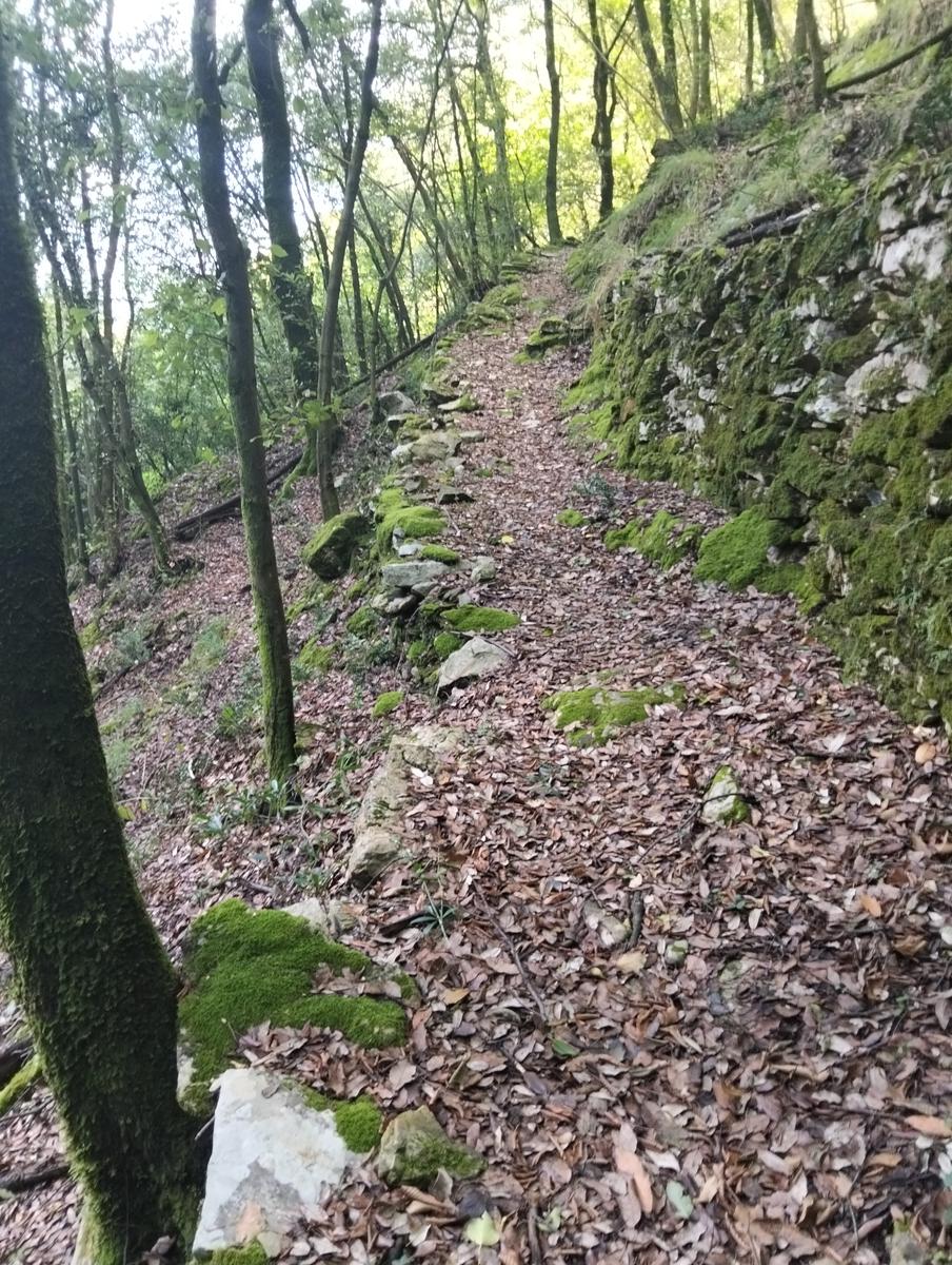 Vetta Monte Alto dalla cresta sud e Grotte bianche da Volegno - foto 11