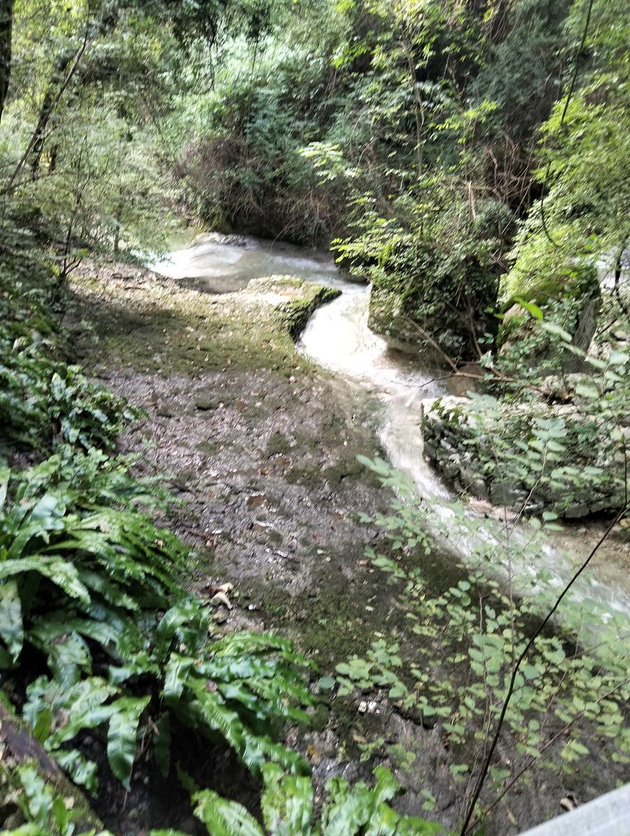 Anello di Molina: Cascata dell’Orso, Doppio Covolo e Cascata Nera - foto 3
