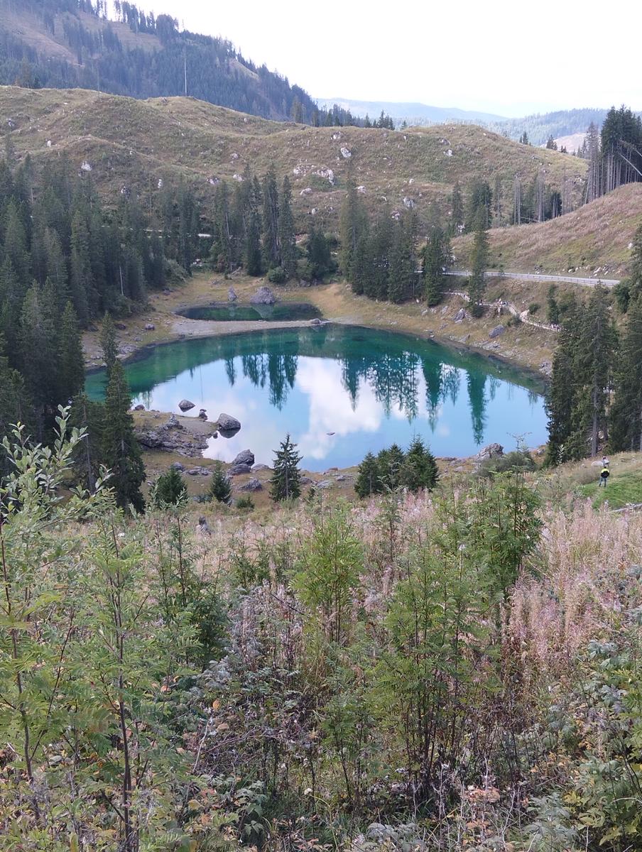 Anello del Lago di Carezza con Ponte Sospeso - foto 2