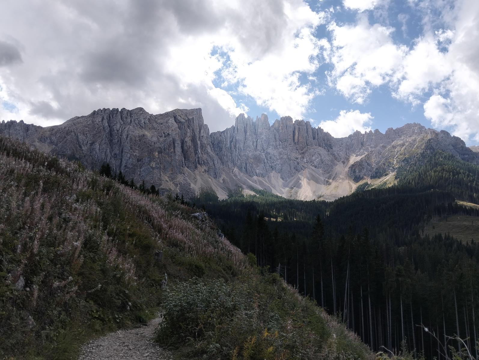 Anello del Lago di Carezza con Ponte Sospeso - foto 4