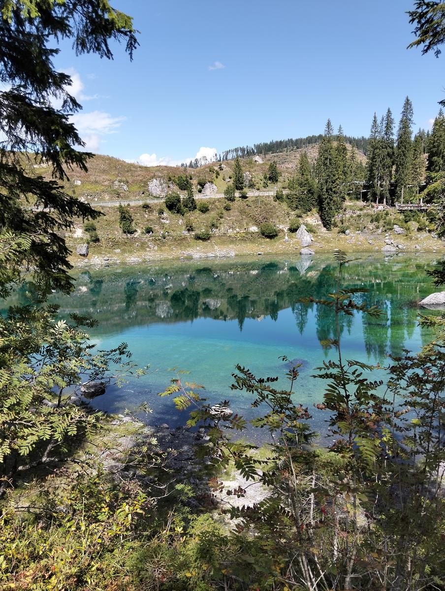Anello del Lago di Carezza con Ponte Sospeso - foto 5