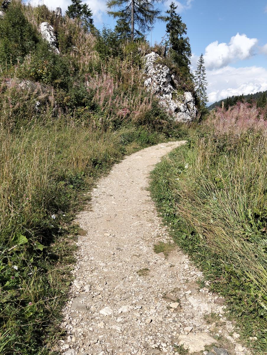 Anello del Lago di Carezza con Ponte Sospeso - foto 7