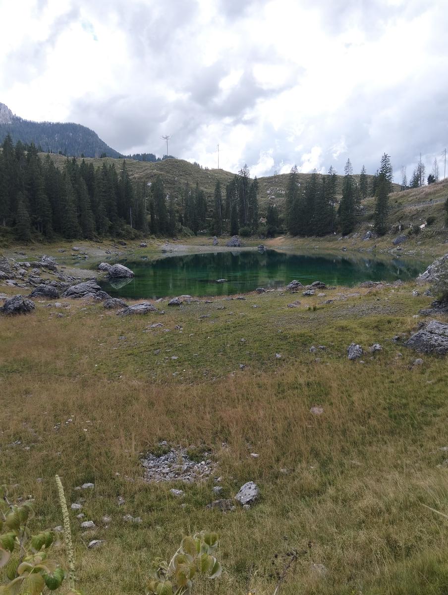 Anello del Lago di Carezza con Ponte Sospeso - foto 8