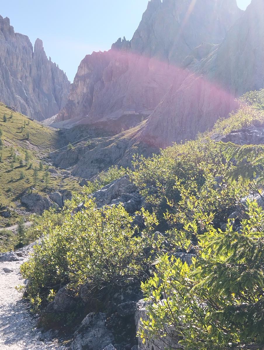 Anello di Passo Sella: Friedrich August (rifugio dei krapfen), Sandro Pertini, Sasso Piatto, Vicenza e Comici - foto 8