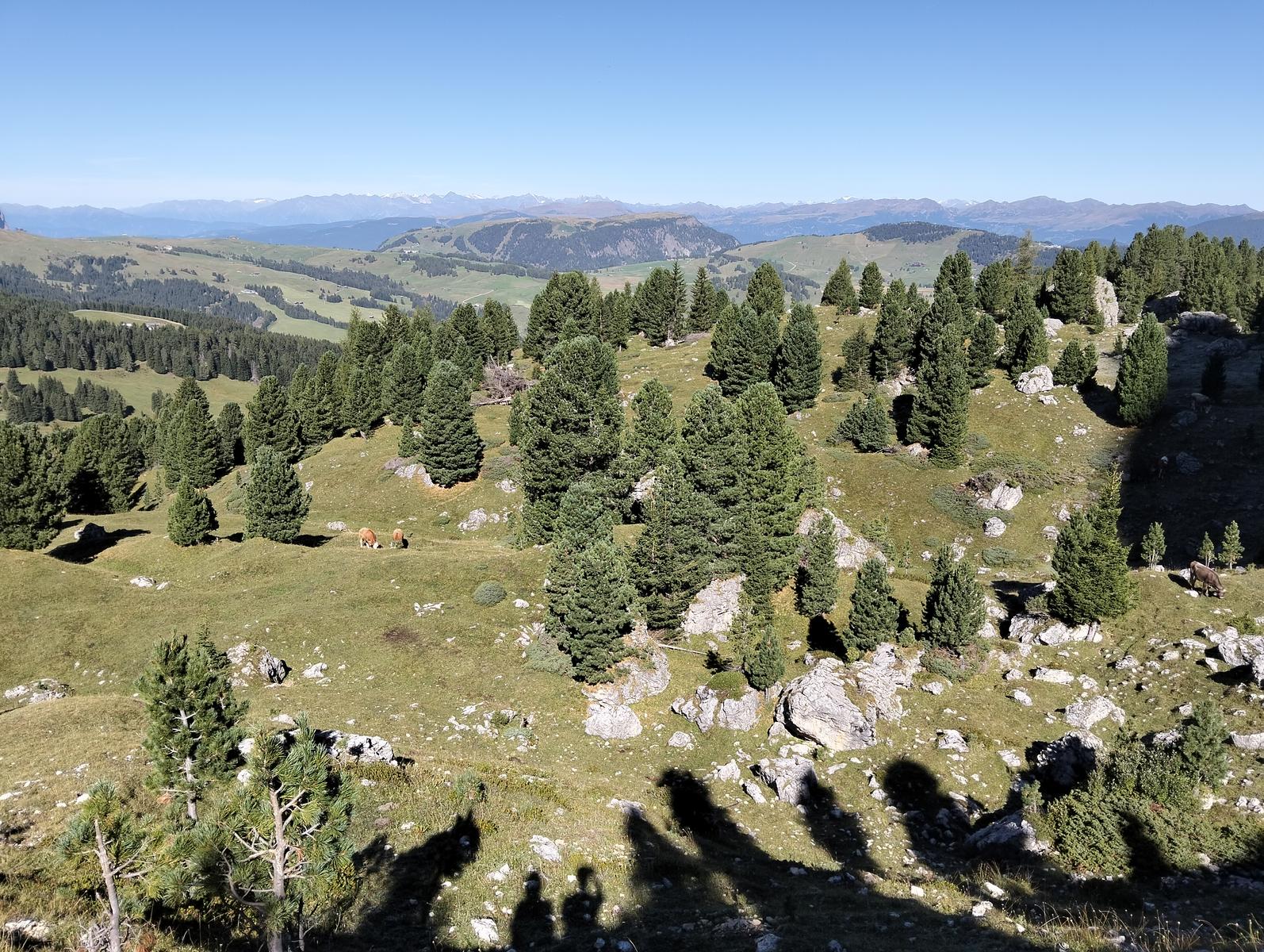 Anello di Passo Sella: Friedrich August (rifugio dei krapfen), Sandro Pertini, Sasso Piatto, Vicenza e Comici - foto 23