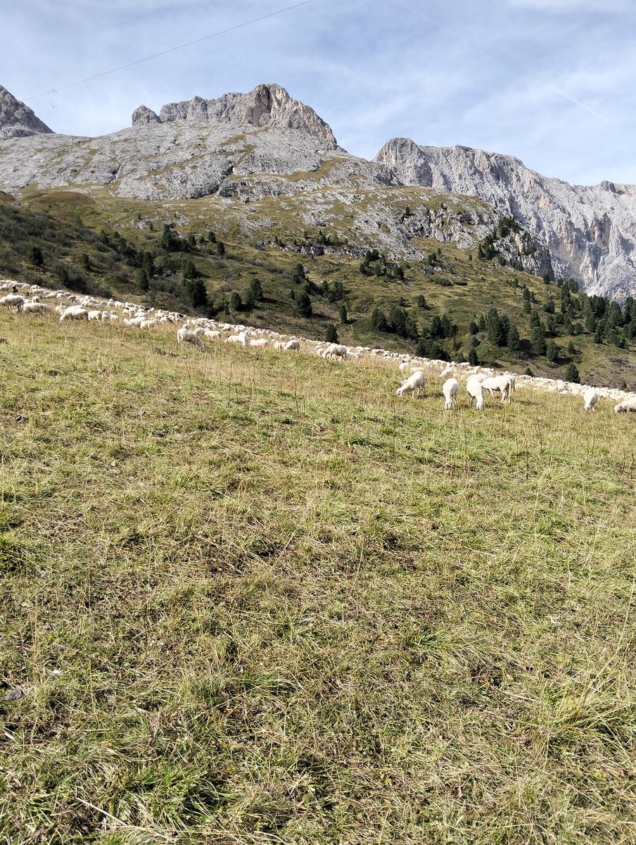 Rifugio Micheluzzi, Passo Dona e Lago Antermoia da Campitello di Fassa - foto 12