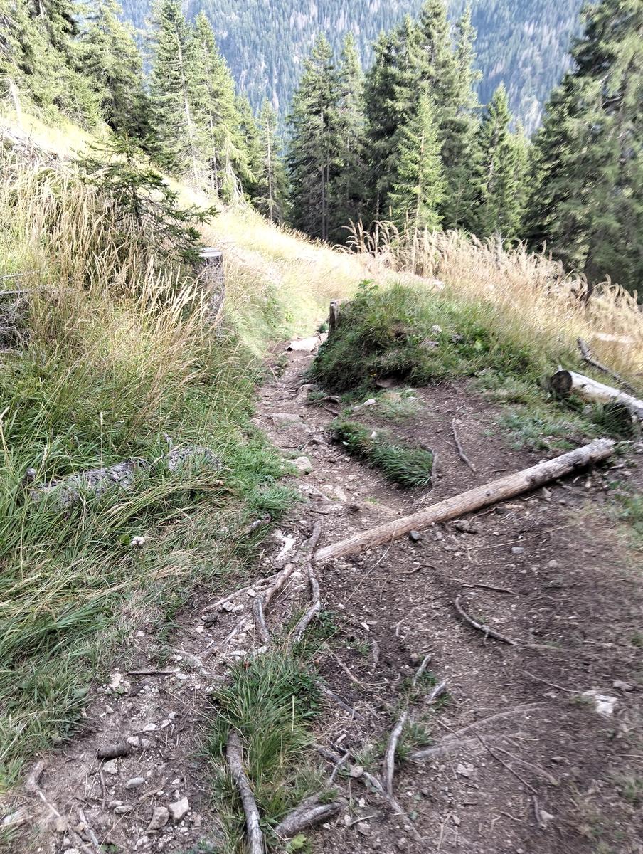 Rifugio Micheluzzi, Passo Dona e Lago Antermoia da Campitello di Fassa - foto 15