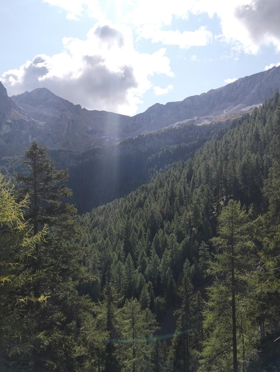 Anello Alba–Penia: Baita Locia de Contrin, Passo San Nicolò e Rifugio Contrin - foto 4