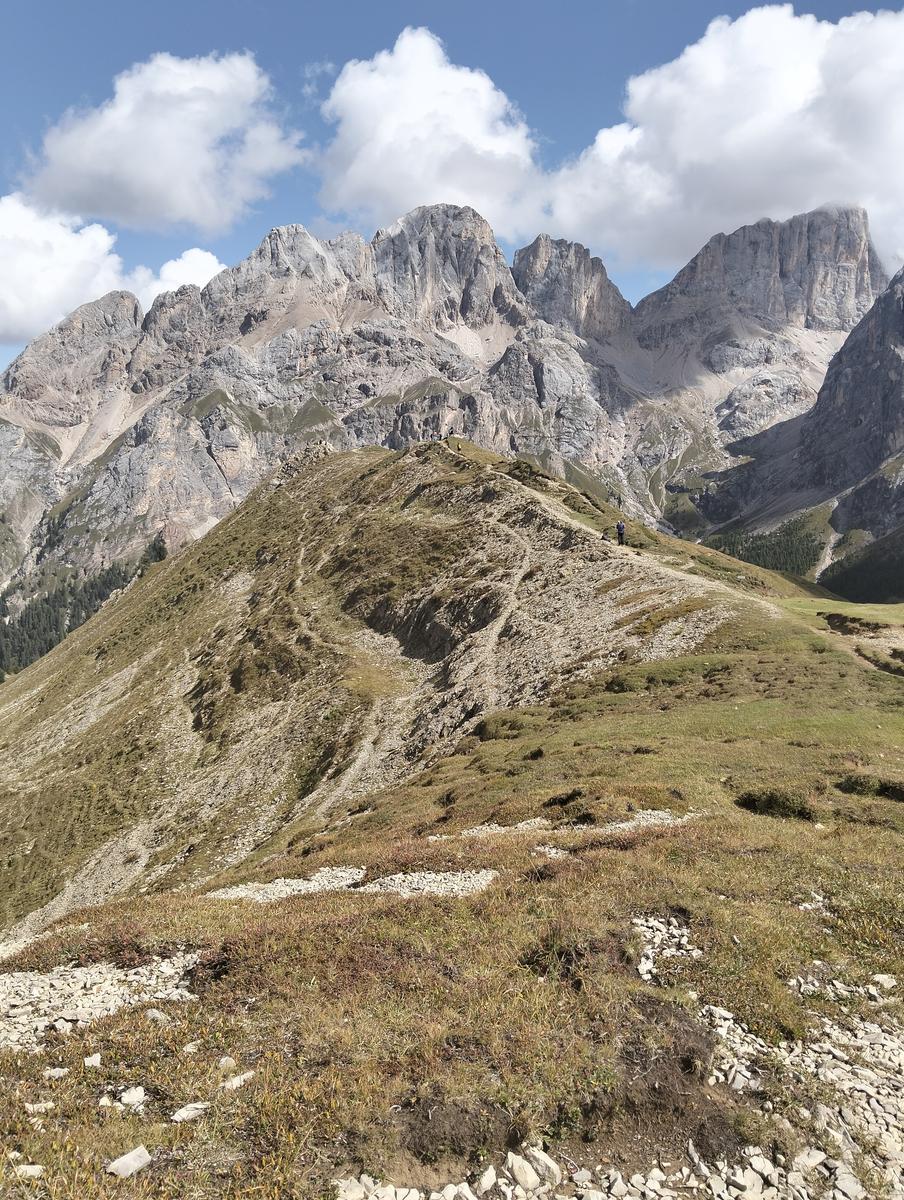 Anello Alba–Penia: Baita Locia de Contrin, Passo San Nicolò e Rifugio Contrin - foto 9