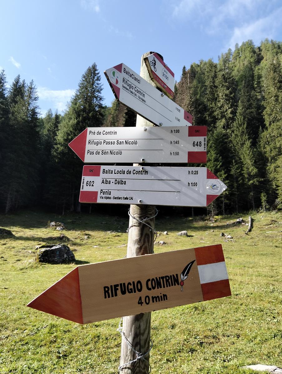 Anello Alba–Penia: Baita Locia de Contrin, Passo San Nicolò e Rifugio Contrin - foto 13