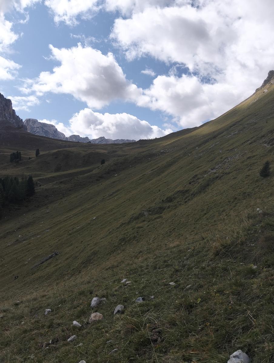 Anello Alba–Penia: Baita Locia de Contrin, Passo San Nicolò e Rifugio Contrin - foto 14