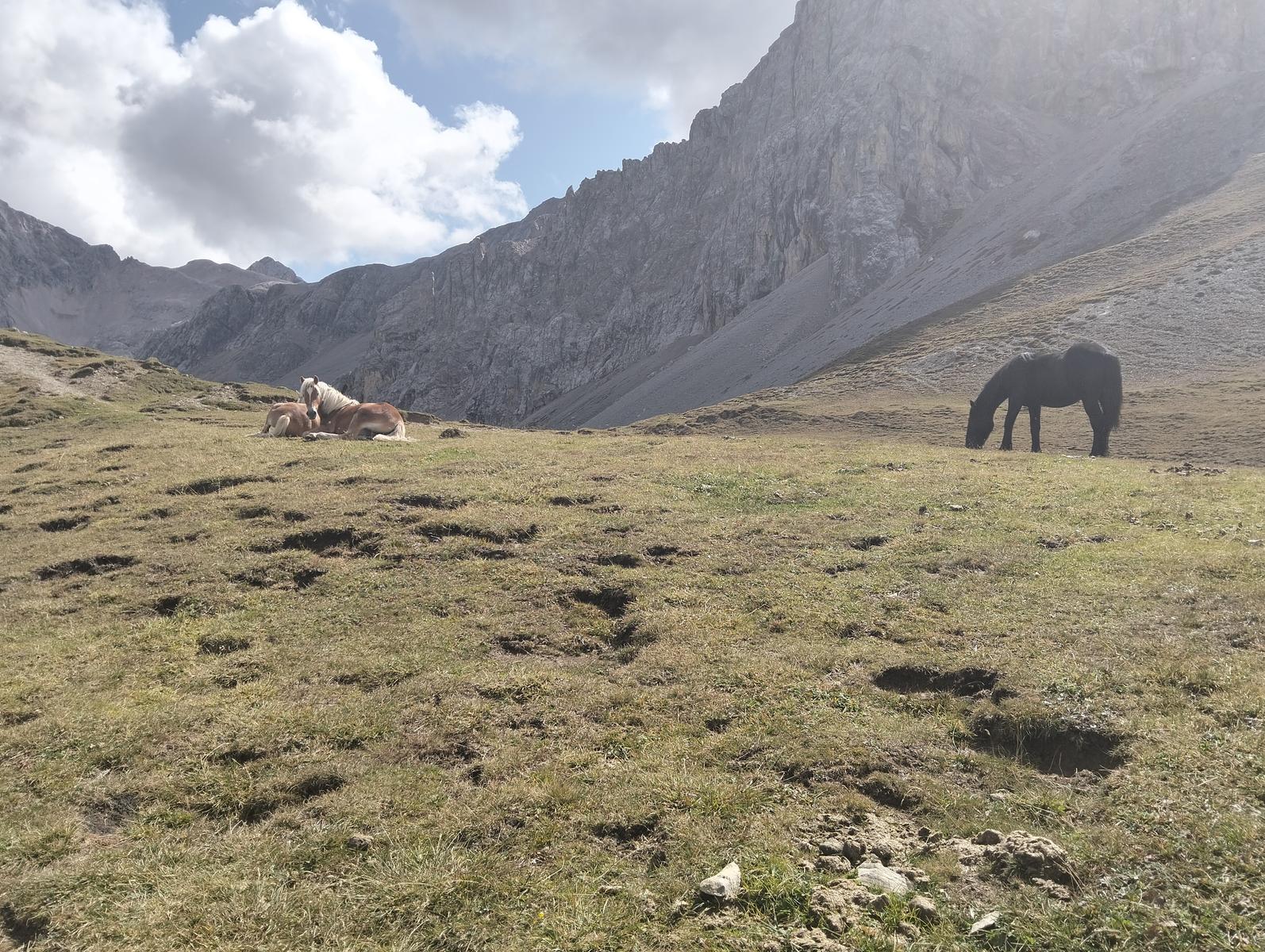 Anello Alba–Penia: Baita Locia de Contrin, Passo San Nicolò e Rifugio Contrin - foto 15