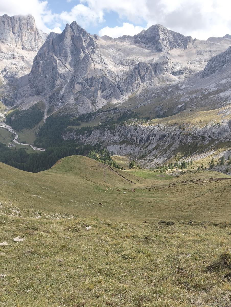 Anello Alba–Penia: Baita Locia de Contrin, Passo San Nicolò e Rifugio Contrin - foto 16
