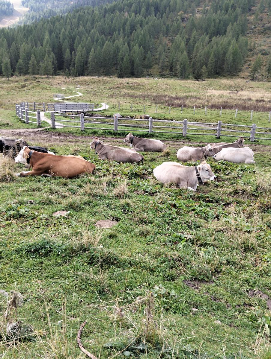 Passo San Pellegrino da San Pellegrino - foto 8