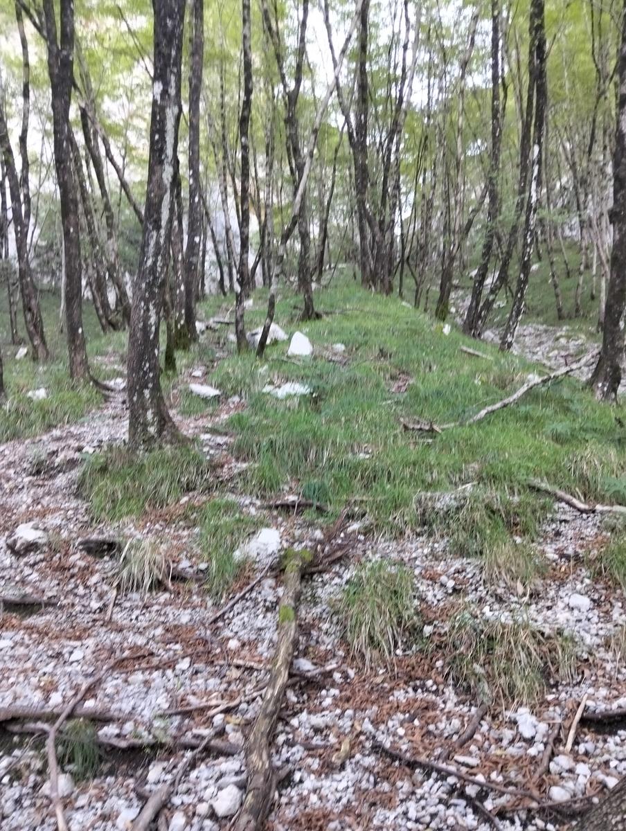 Monte Procinto, Monte Nona e Foce delle Porchette da Stazzema - foto 4