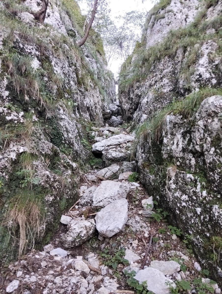 Monte Procinto, Monte Nona e Foce delle Porchette da Stazzema - foto 6