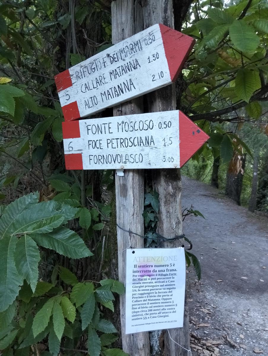 Monte Procinto, Monte Nona e Foce delle Porchette da Stazzema - foto 9