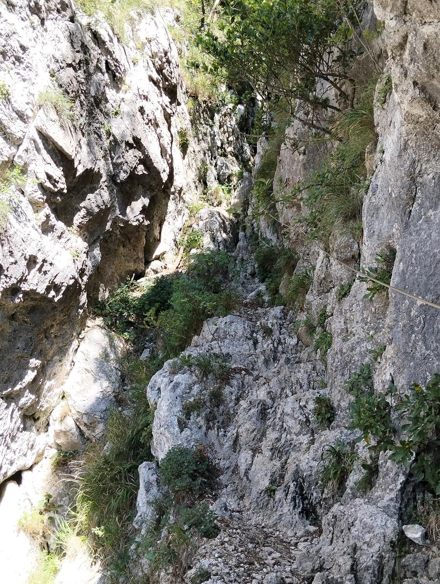 Monte Procinto, Monte Nona e Foce delle Porchette da Stazzema - foto 13