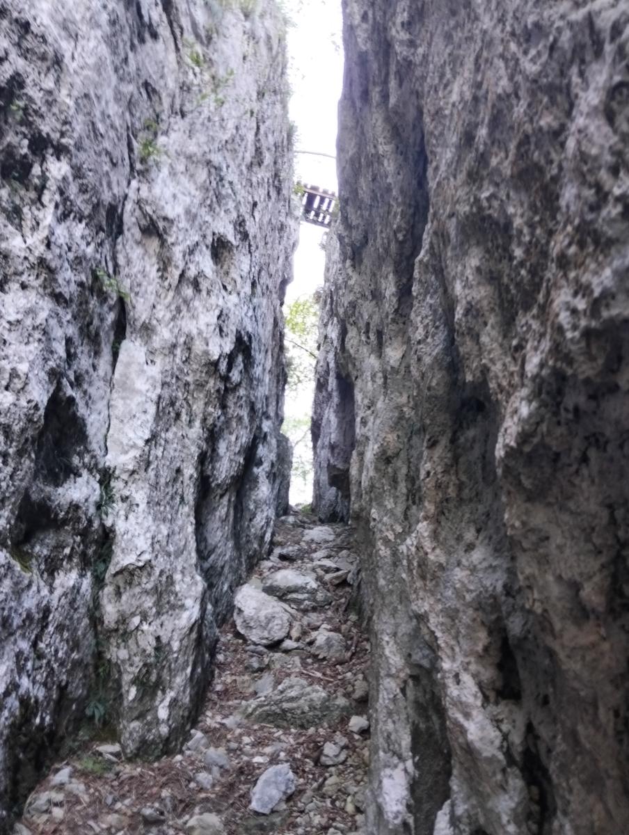 Monte Procinto, Monte Nona e Foce delle Porchette da Stazzema - foto 18