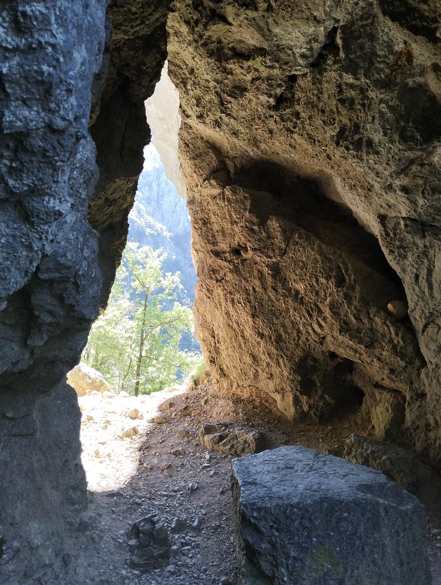 Monte Procinto, Monte Nona e Foce delle Porchette da Stazzema - foto 22