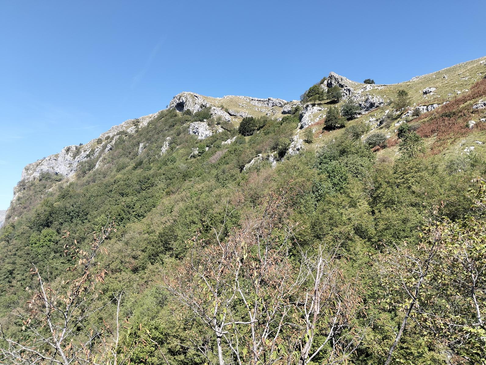 Monte Procinto, Monte Nona e Foce delle Porchette da Stazzema - foto 23