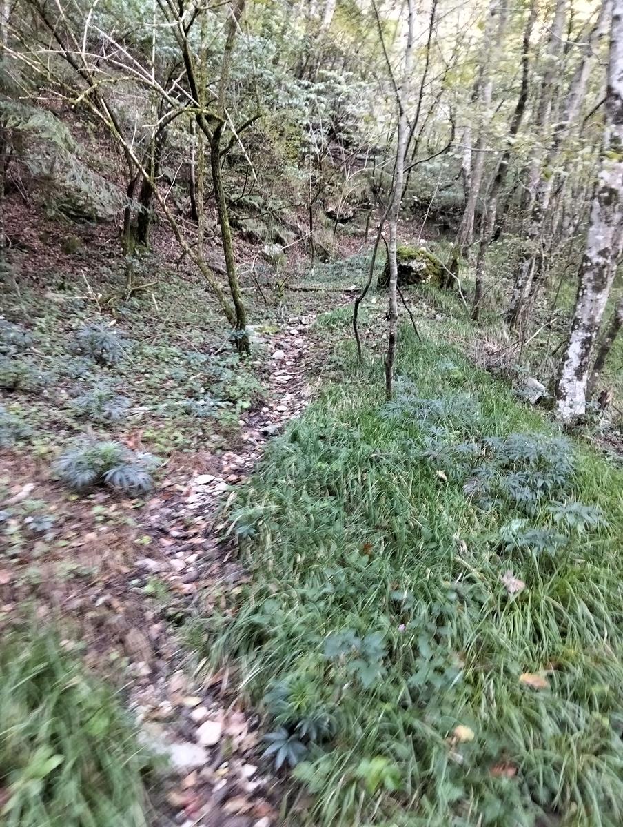 Anello del Monte dei Ronchi, Monte delle Tavole e Monte Altissimo dalle Cave del Cipollaio - foto 2